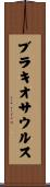 ブラキオサウルス Scroll