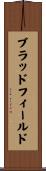 Bradfield Scroll
