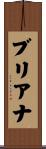 ブリアナ Scroll