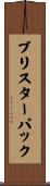 ブリスター・パック Scroll