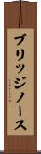 ブリッジノース Scroll