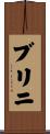 ブリニ Scroll