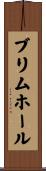 ブリムホール Scroll