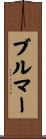ブルマー Scroll