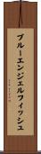 ブルーエンジェルフィッシュ Scroll