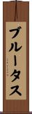 ブルータス Scroll