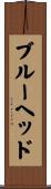 ブルーヘッド Scroll