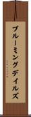ブルーミングデイルズ Scroll
