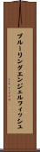 ブルーリングエンジェルフィッシュ Scroll