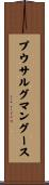 プウサルグ・マングース Scroll
