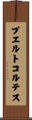 プエルトコルテス Scroll