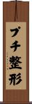 プチ整形 Scroll