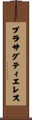 プラサグティエレス Scroll