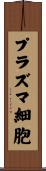 プラズマ細胞 Scroll
