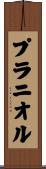 プラニオル Scroll