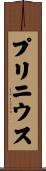 プリニウス Scroll