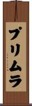 プリムラ Scroll