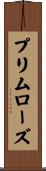 プリムローズ Scroll