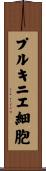 プルキニエ細胞 Scroll