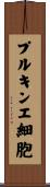 プルキンエ細胞 Scroll