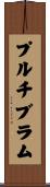 プルチブラム Scroll