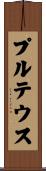 プルテウス Scroll