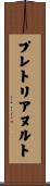 プレトリアヌルト Scroll