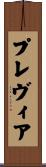 プレヴィア Scroll