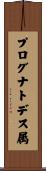 プログナトデス属 Scroll