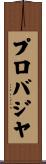 プロバジヤ Scroll