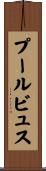 プールビュス Scroll