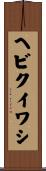ヘビクイワシ Scroll