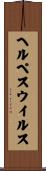 ヘルペス・ウイルス Scroll