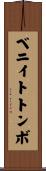 ベニイトトンボ Scroll