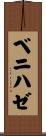 ベニハゼ Scroll