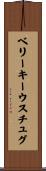 ベリーキーウスチュグ Scroll