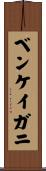 ベンケイガニ Scroll