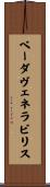 ベーダ・ヴェネラビリス Scroll