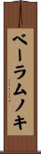 ベーラムノキ Scroll