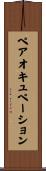 ペアオキュペーション Scroll