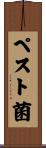 ペスト菌 Scroll