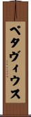 ペタヴィウス Scroll