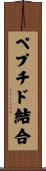 ペプチド結合 Scroll