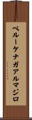 ペルーケナガアルマジロ Scroll