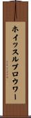 ホイッスルブロウワー Scroll