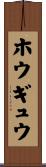 ホウギュウ Scroll