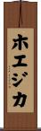 ホエジカ Scroll