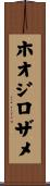 ホオジロザメ Scroll
