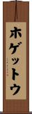 ホゲットウ Scroll