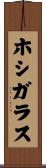 ホシガラス Scroll
